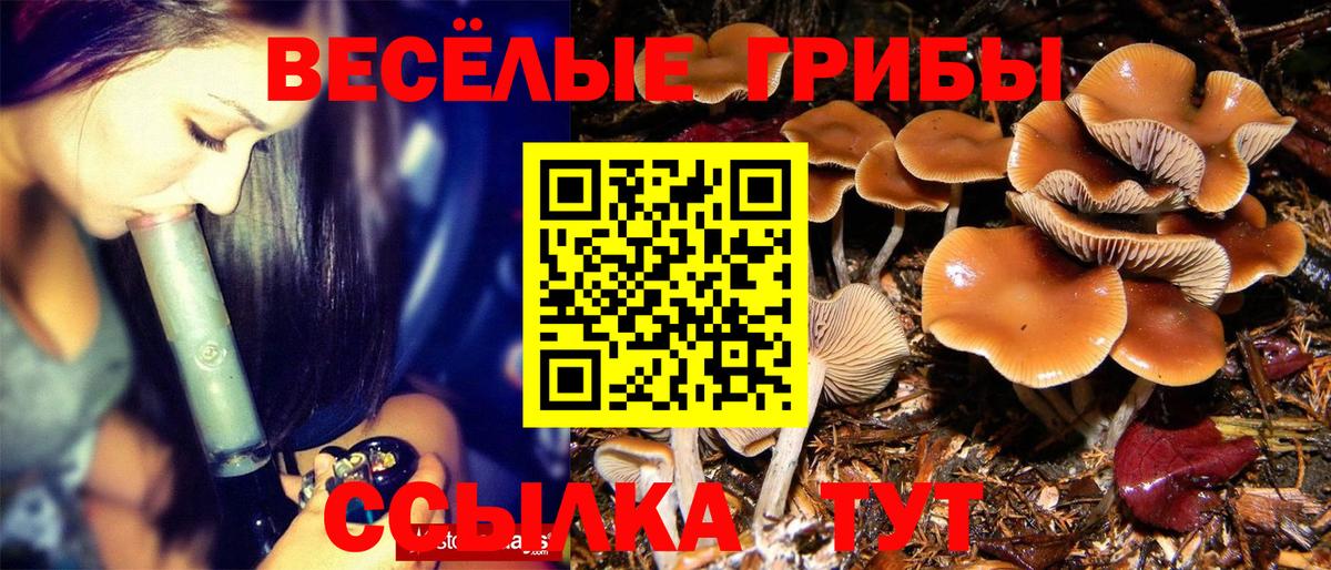 Южно-Сахалинск  Галлюциногенные грибы GOLDEN TEACHER  Вход с VPN 