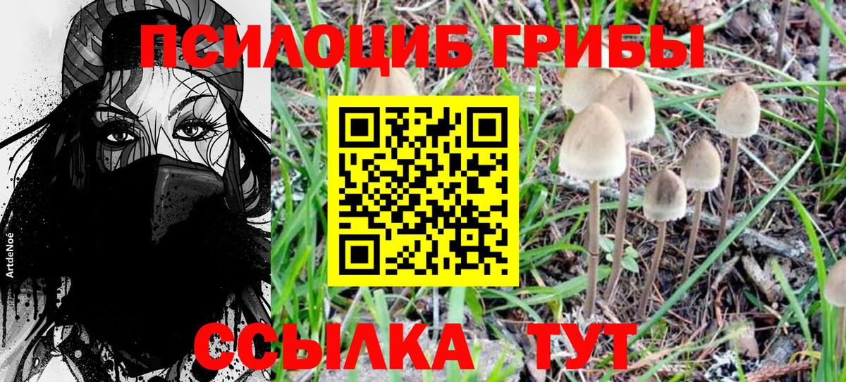 Галлюциногенные грибы Magic Shrooms Южно-Сахалинск
